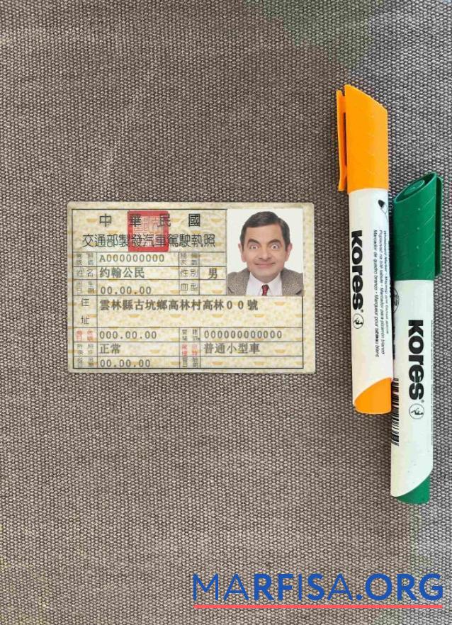 Realistic Taiwan DL photolook download for verification